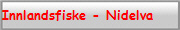 Innlandsfiske - Nidelva