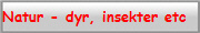 Natur - dyr, insekter etc